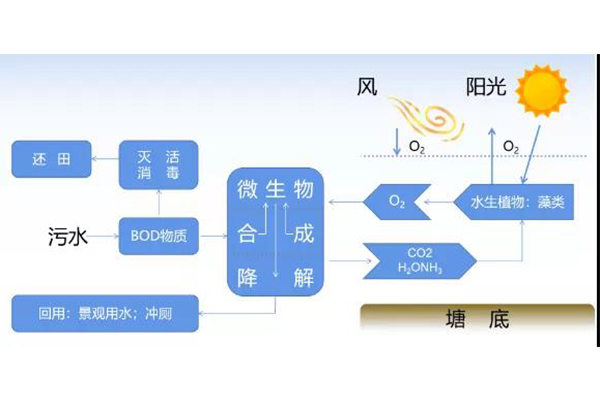 1644821864341338.jpg 7.jpg